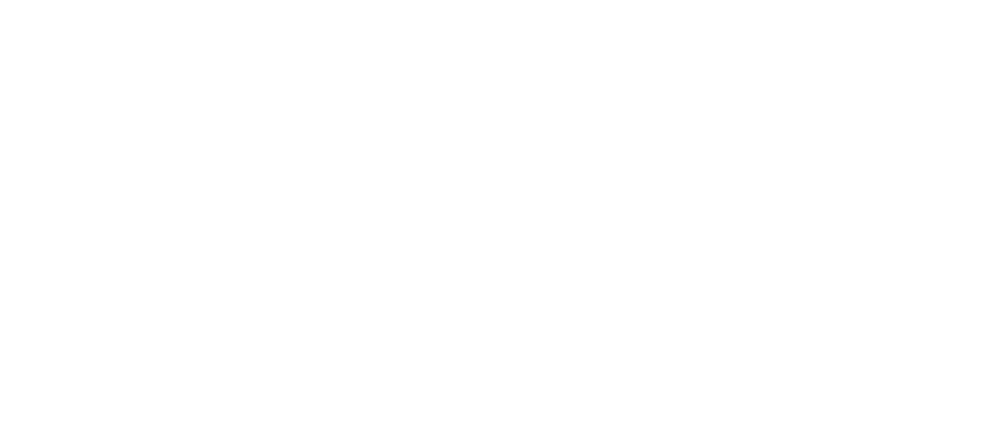 WellnessIQ_logo_large (white)