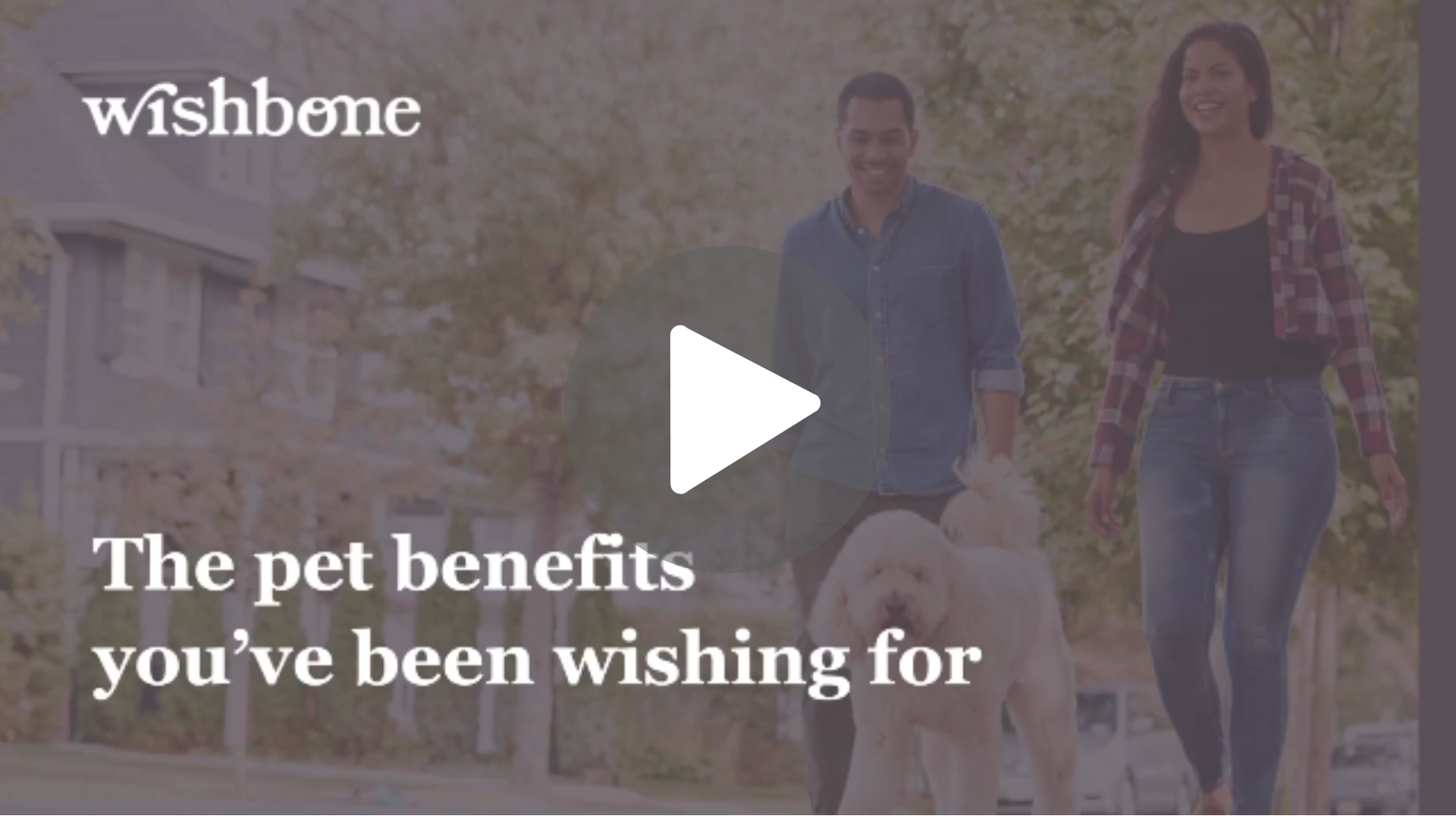 Wishbone Video